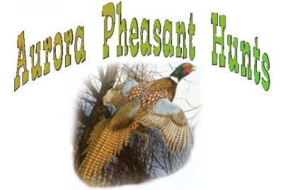 Aurora Pheasant Hunts