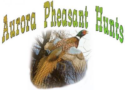 Aurora Pheasant Hunts