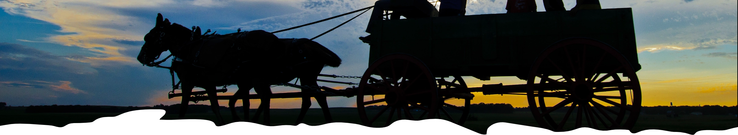 Horse and Covered Wagon