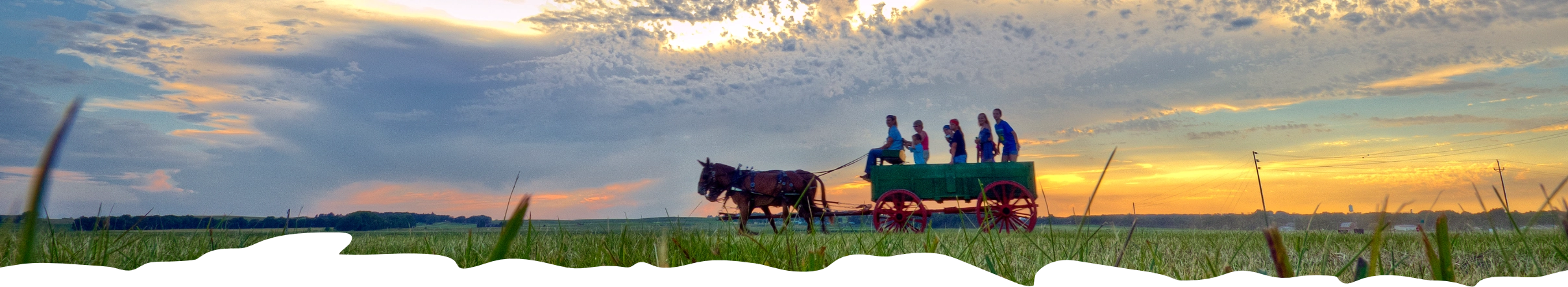 wagon pulled by horses