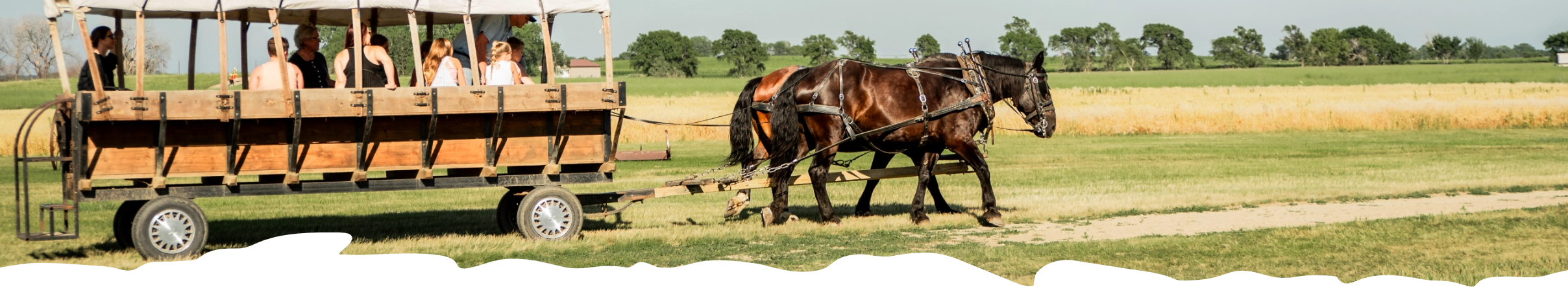 Horses pulling a covered wagon