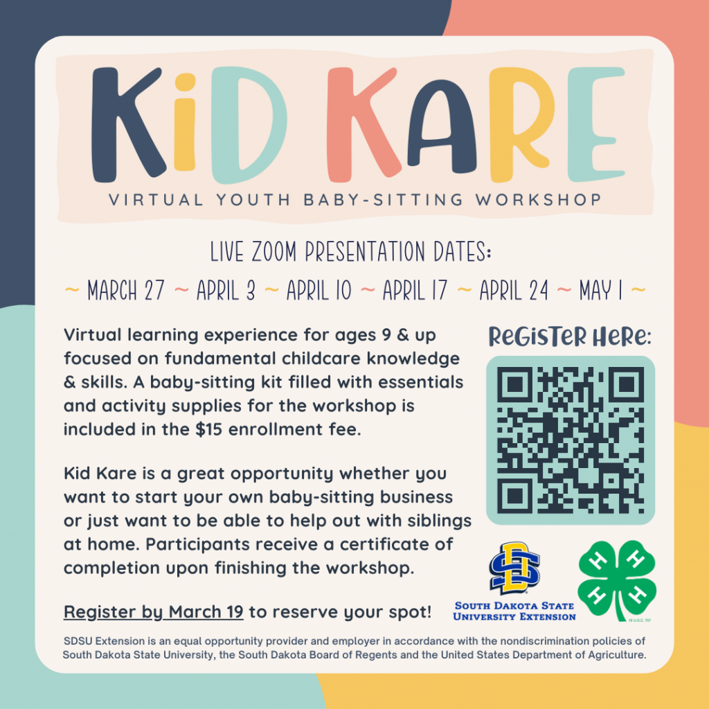 Kid Kare- Virtual Youth Baby-Sitting Workshop